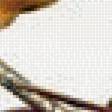 Предпросмотр схемы вышивки «523» (№1939967)