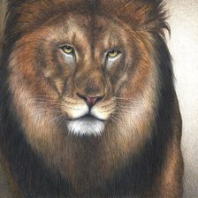 Схема вышивки «лев»