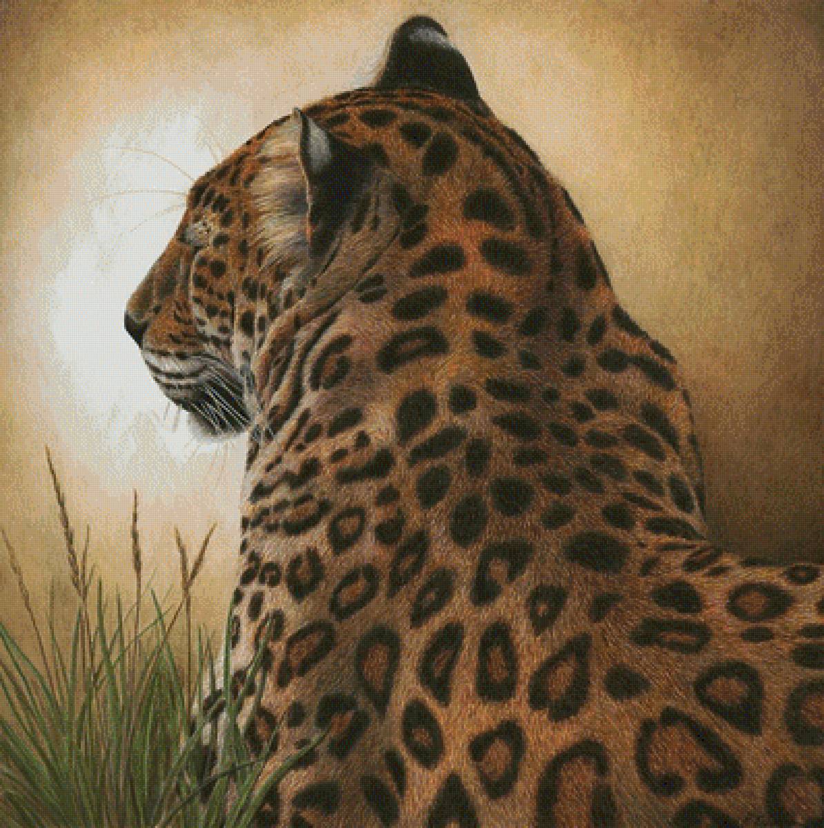 мир животных - мир животных - предпросмотр