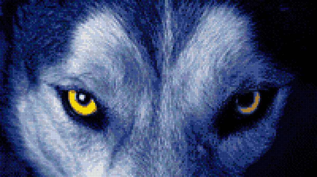 волк - взгляд, животные, глаза, волк - предпросмотр