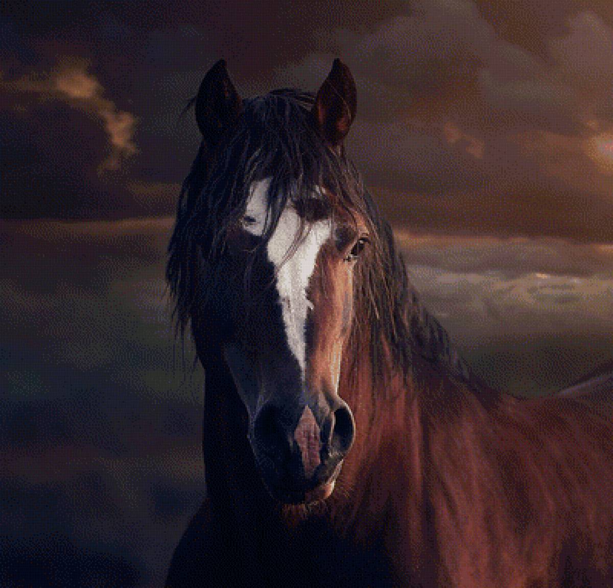 Портрет коня - животные, лошади - предпросмотр