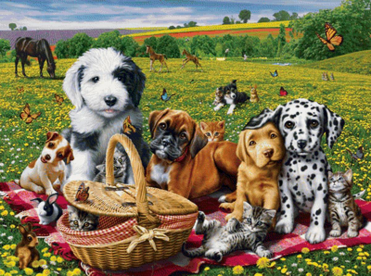 №1940309 - животные, собаки - предпросмотр