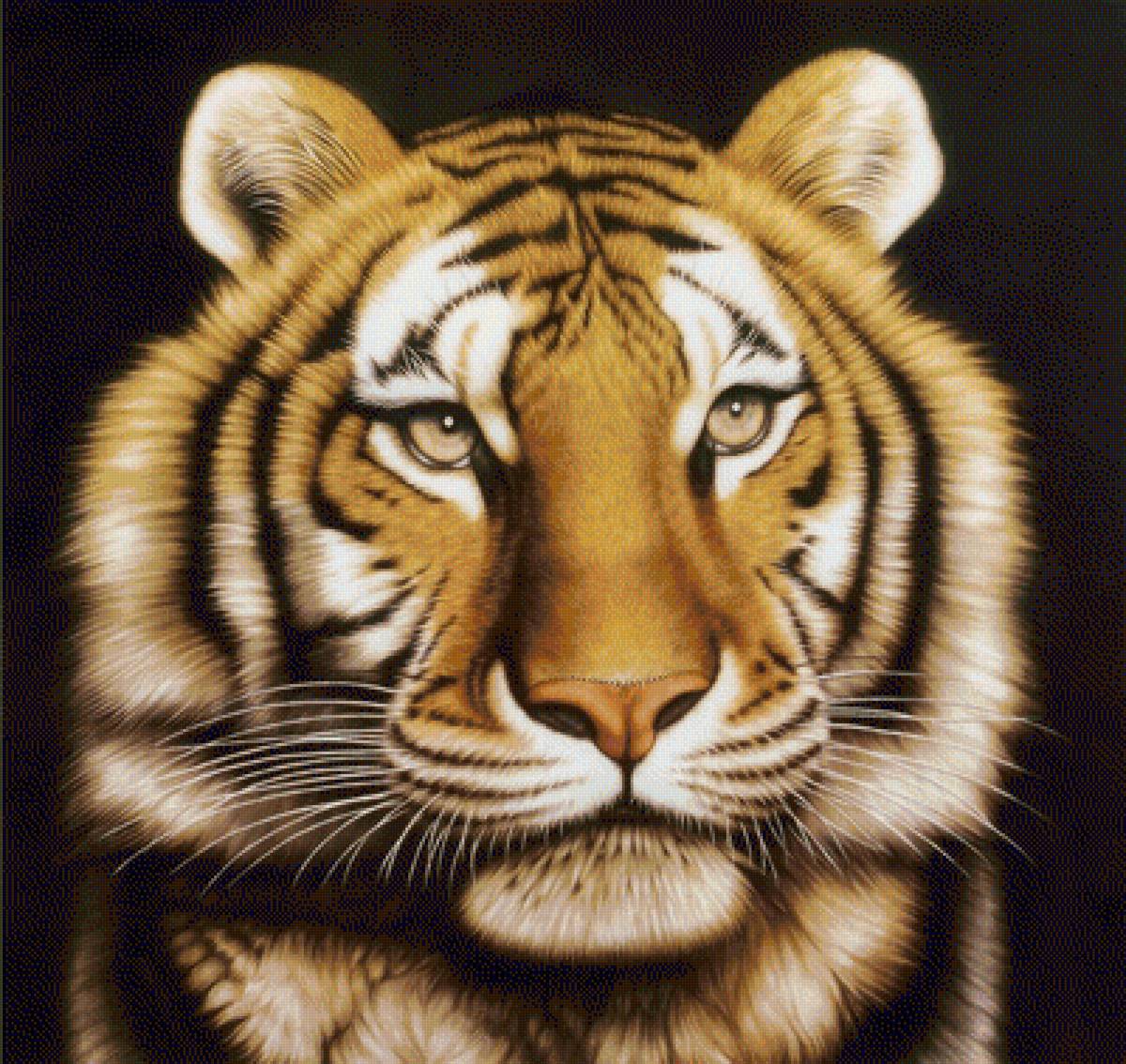 №1940325 - животные, тигр, тигры, хищники - предпросмотр