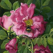 Схема вышивки «цветы»