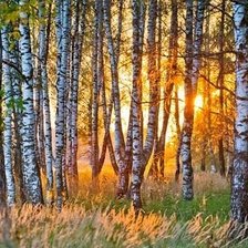 Схема вышивки «пейзаж»