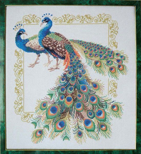 Павлины - павлины, птицы - оригинал