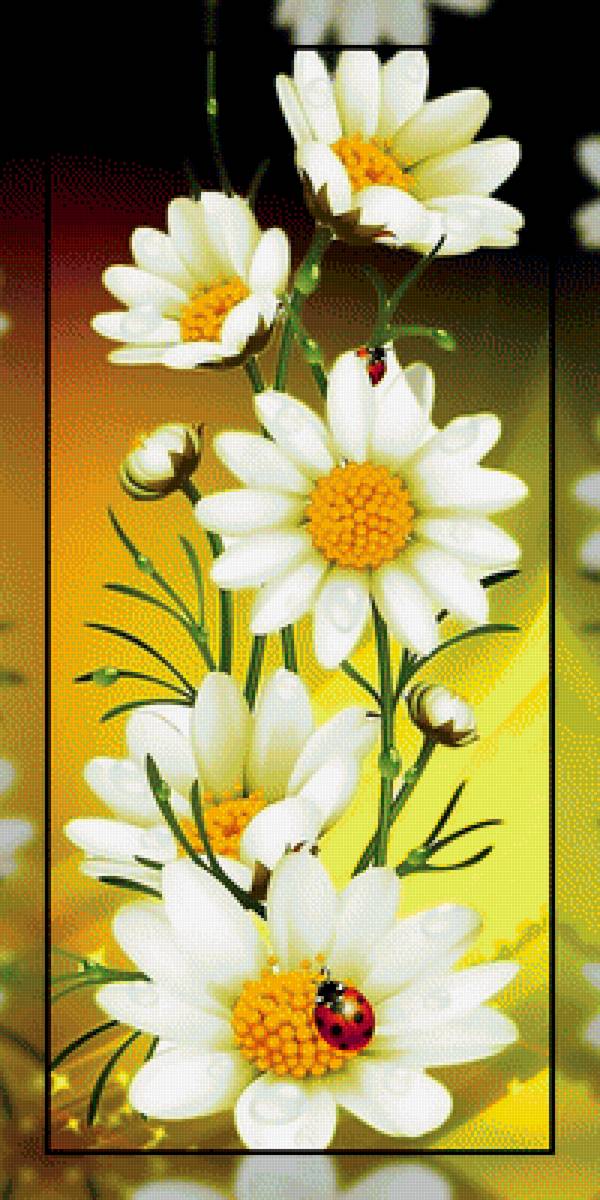 Ромашки и божья коровка. - божья, цветы, ромашки, коровка. - предпросмотр