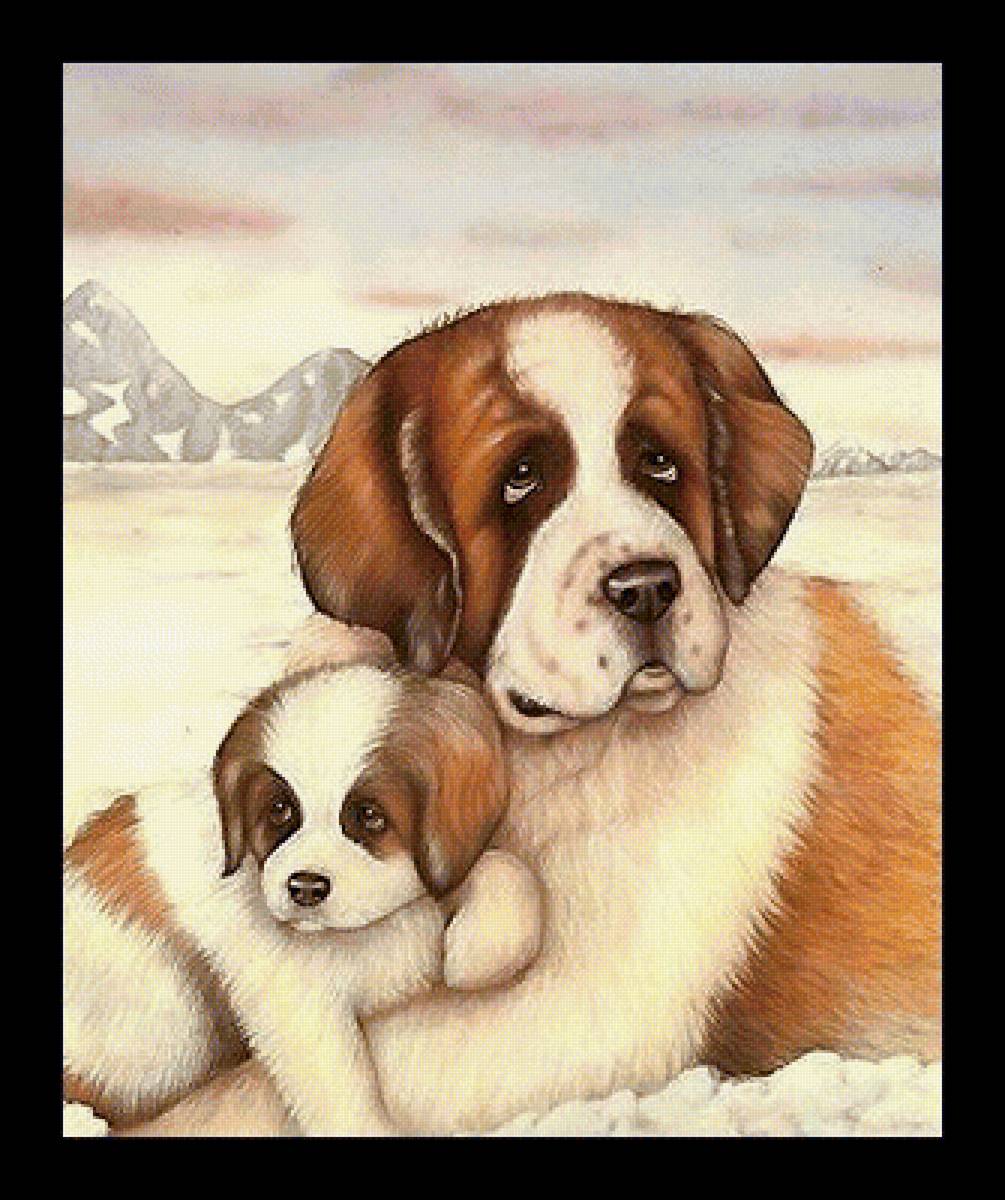 собаки - собаки - предпросмотр