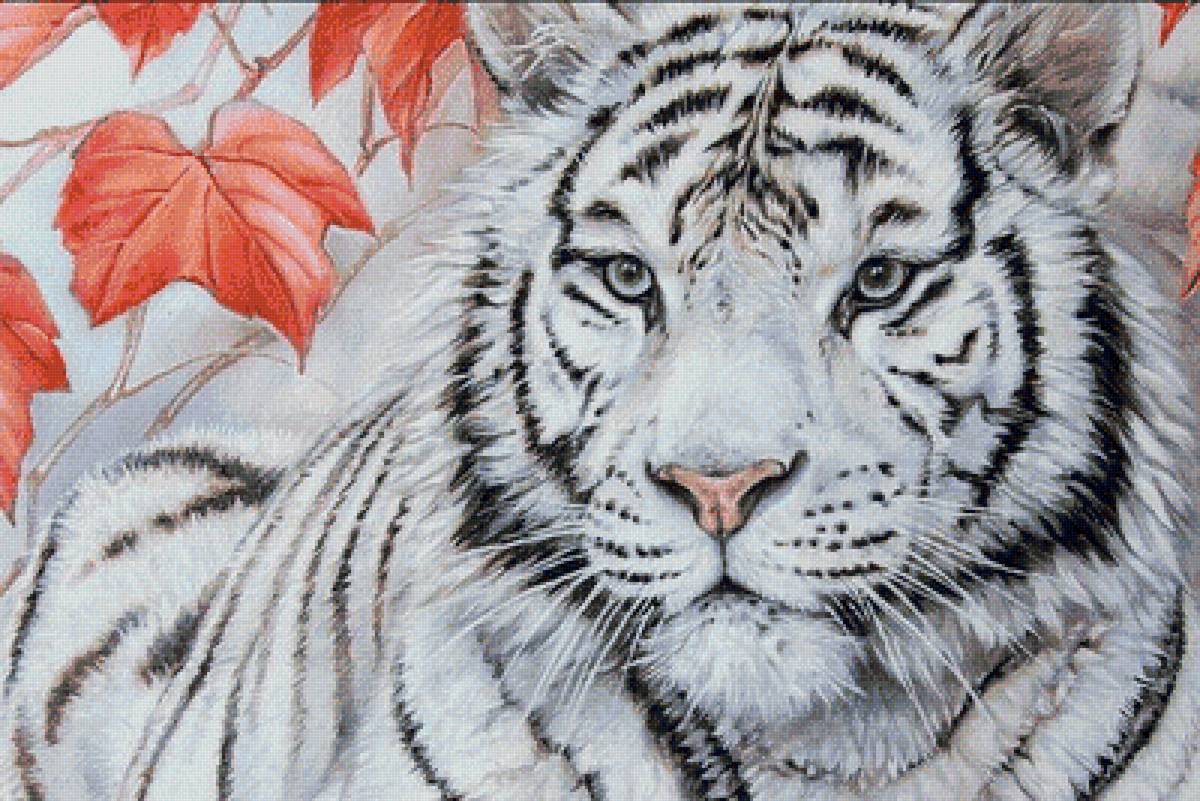 №1941643 - тигры, тигр, хищники, животные - предпросмотр