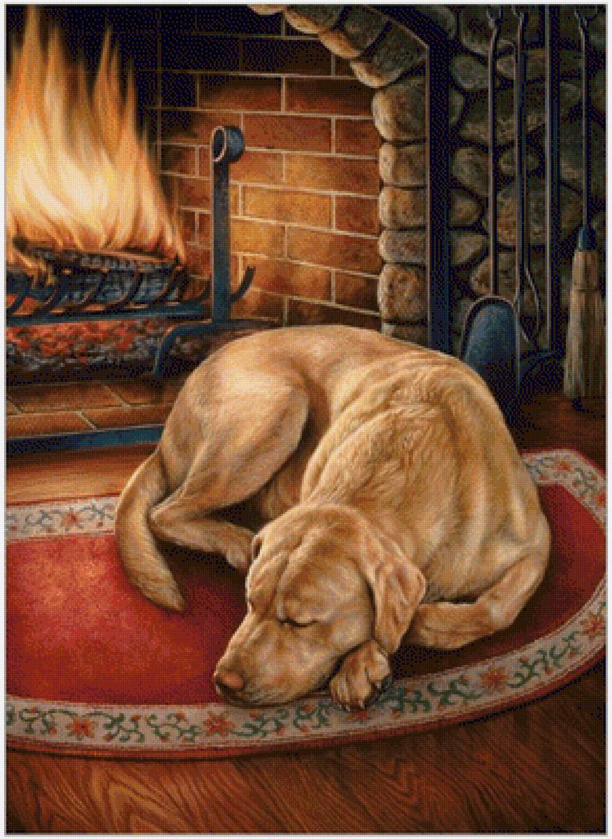 №1941661 - собаки, животные - предпросмотр