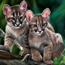 Схема вышивки «Маленькие хищники.»