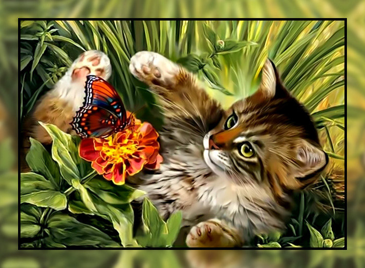 Котик и бабочка. - котенок, кот, бабочка. - оригинал