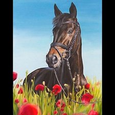 Схема вышивки «конь»