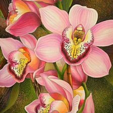 Схема вышивки «Орхидея»