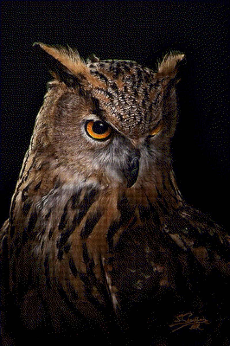 №1942430 - предпросмотр