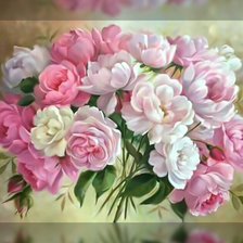 Прекрасные пионы.