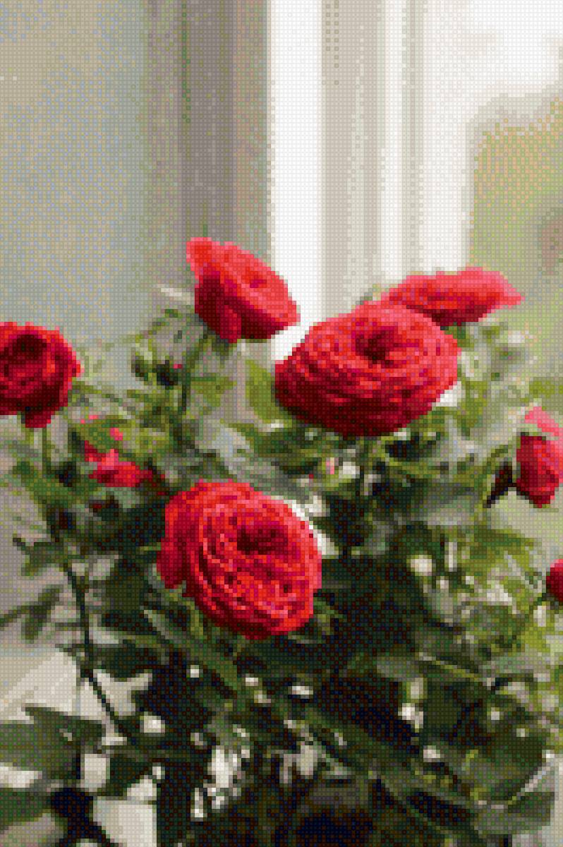 красные чайные розы - цветы, розы - предпросмотр