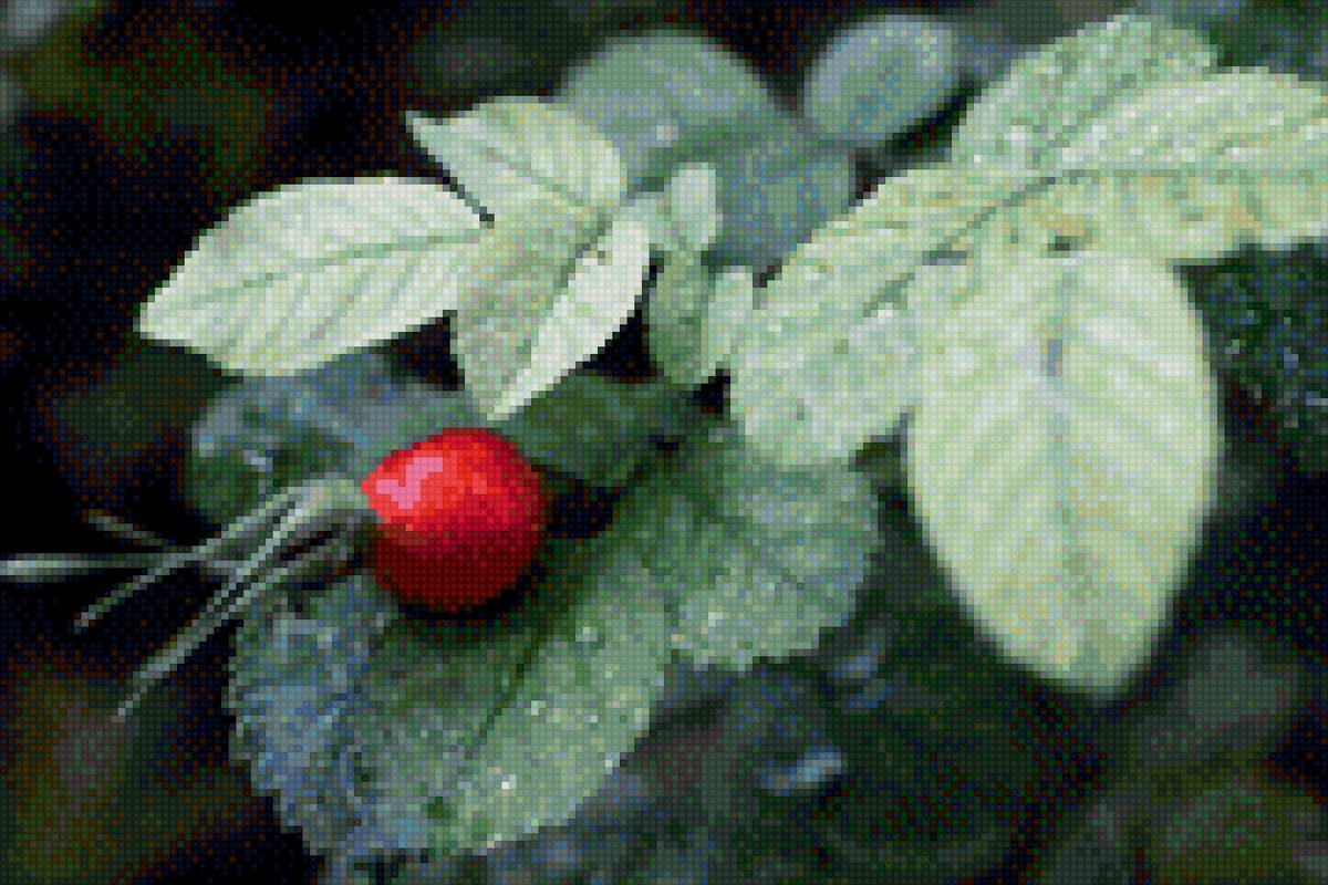 ягодка - природа, ягоды - предпросмотр