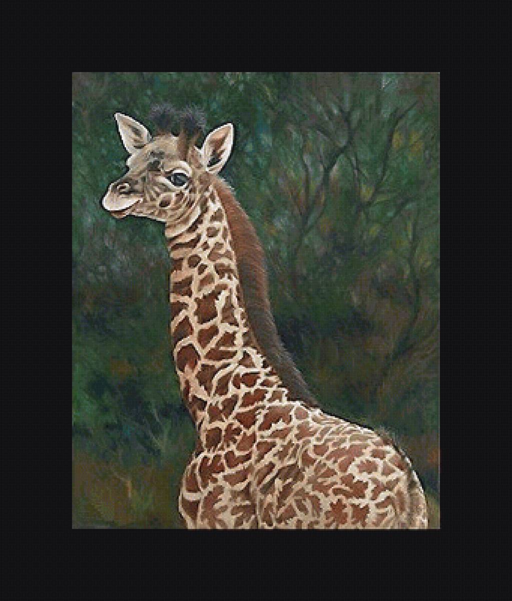 жираф - мир животных - предпросмотр