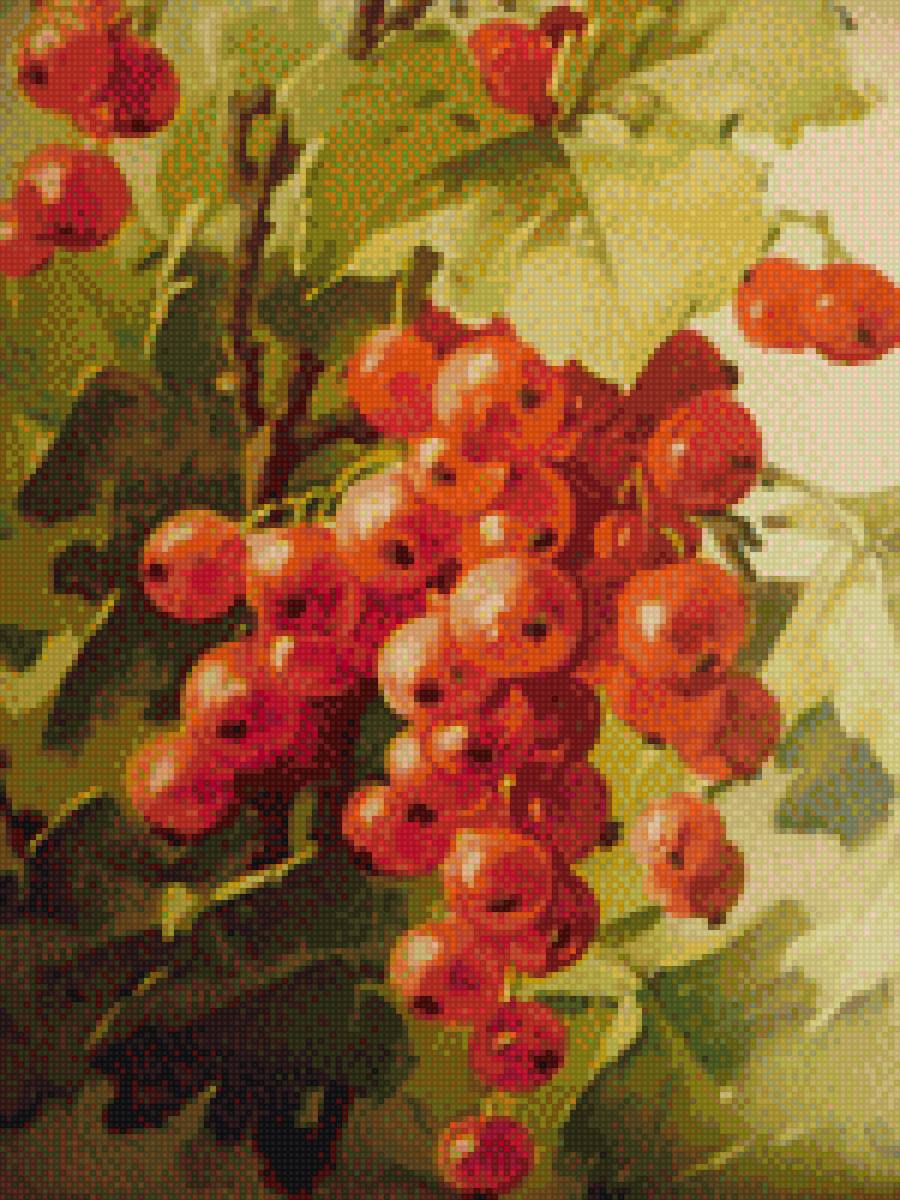 Красная смородина - ягоды, лето - предпросмотр