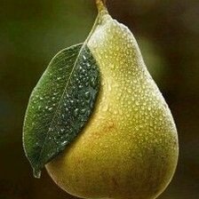 Зеленая на зеленом