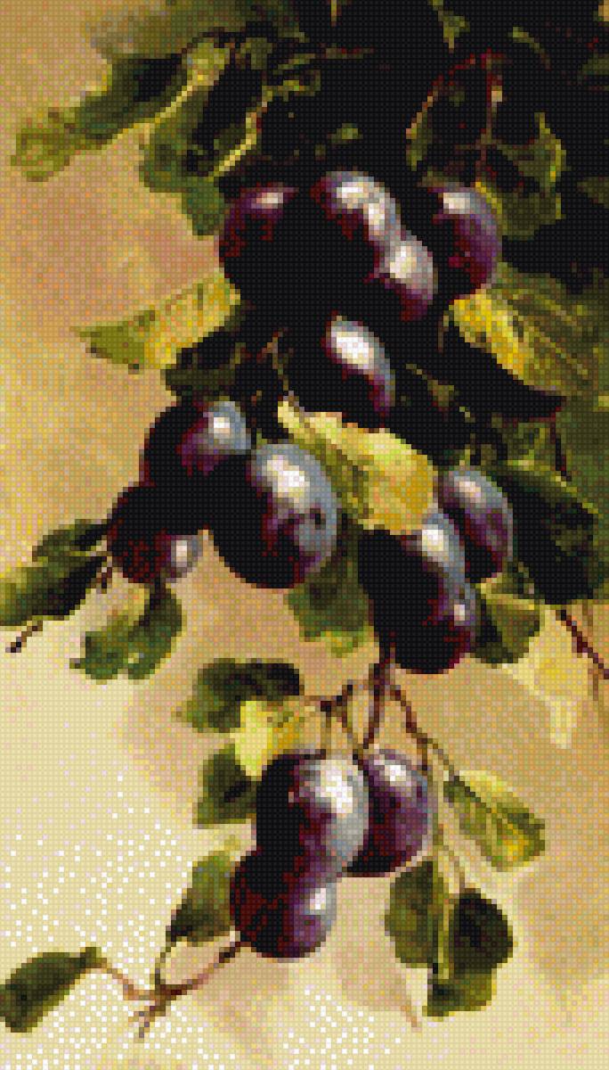 Ветка сливы - натюрморт, лето, фрукты, живопись - предпросмотр