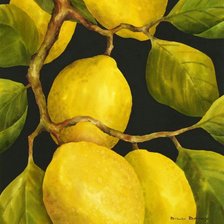 Схема вышивки «Ветка лимонов»