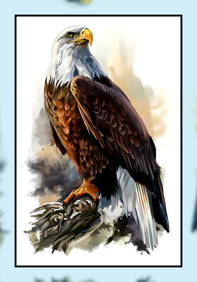 Белоголовый орёл. - рисунок., птица, хищник, орел - оригинал