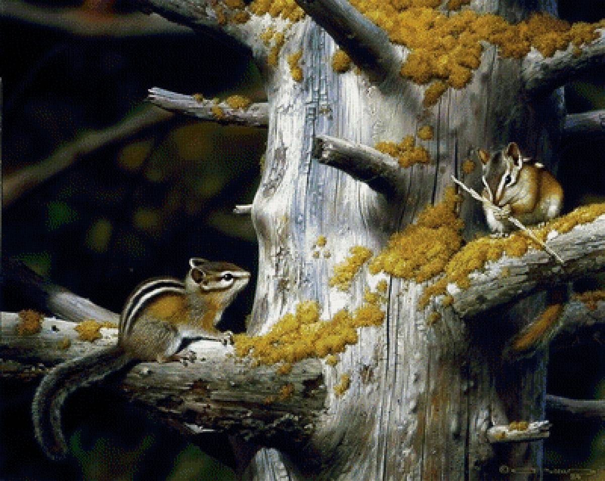 лесной сюжет - предпросмотр