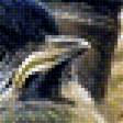 Предпросмотр схемы вышивки «птички» (№1943516)