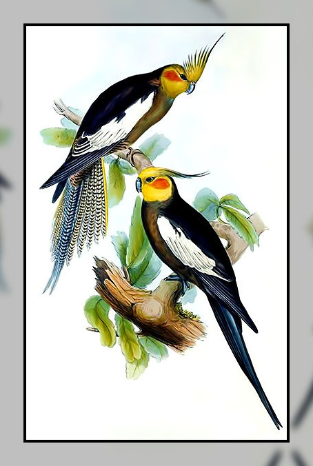 Птицы. - птицы. - оригинал