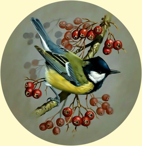 Синица на ветке. - птица, синица, ветка. - оригинал