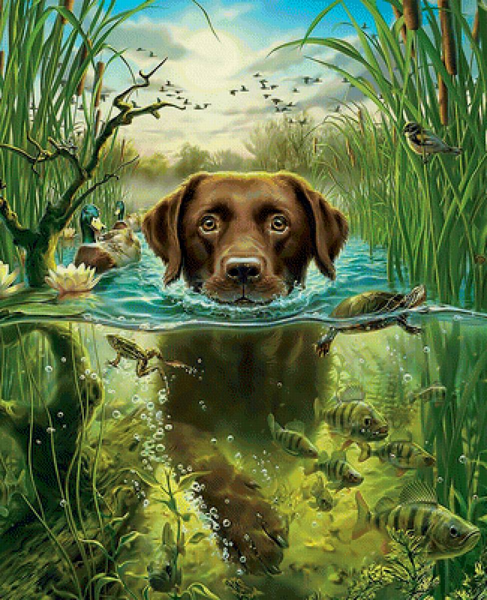 Пловец. - камыш., река, собака, рыбы, птицы, вода - предпросмотр