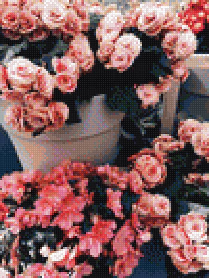 Цветы в горшке - цветы в горшке, розы, цветы - предпросмотр