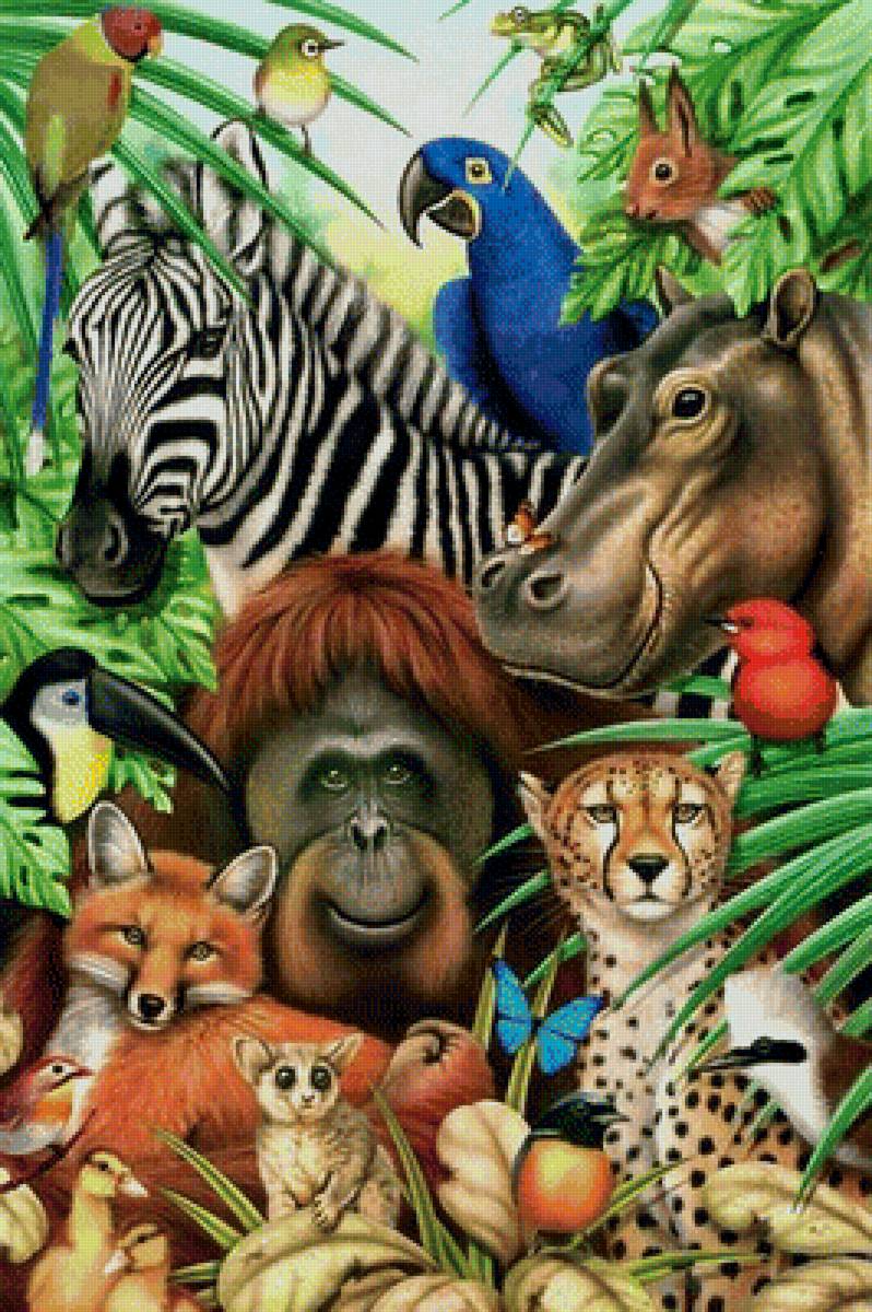 Мир животных. - дикие., животные - предпросмотр