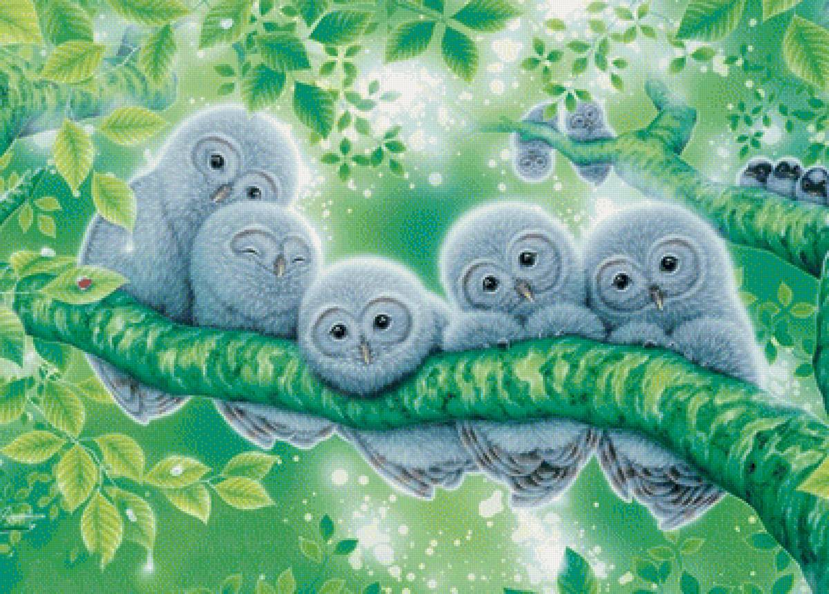 №1943752 - совы, животные, птицы - предпросмотр