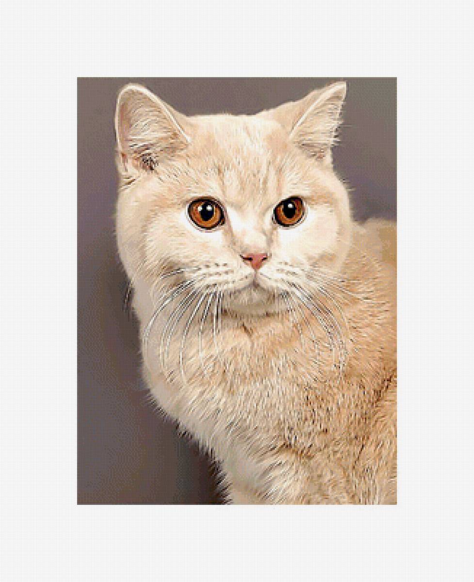 Серия "Коты". - животные, коты - предпросмотр