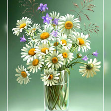 Схема вышивки «Милые ромашки.»