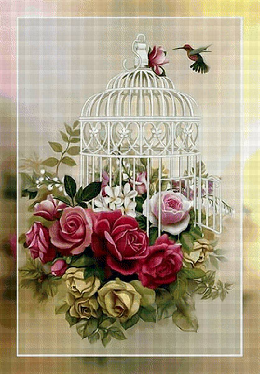 Клетка и колибри. - розы, цветы, птичка, колибри., клетка - предпросмотр