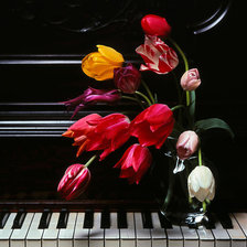 Схема вышивки «тюльпаны»