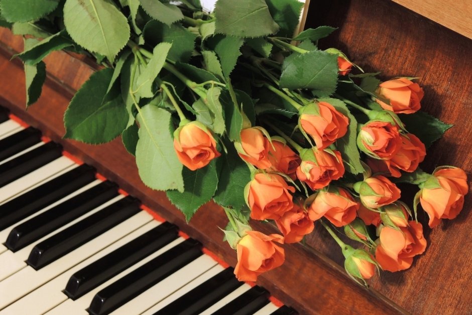 розы - оригинал