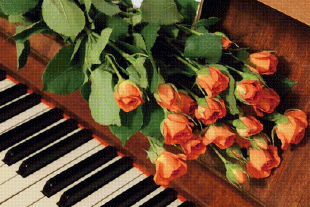 розы - предпросмотр