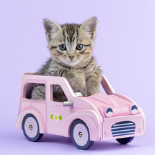 Схема вышивки «№1944157»