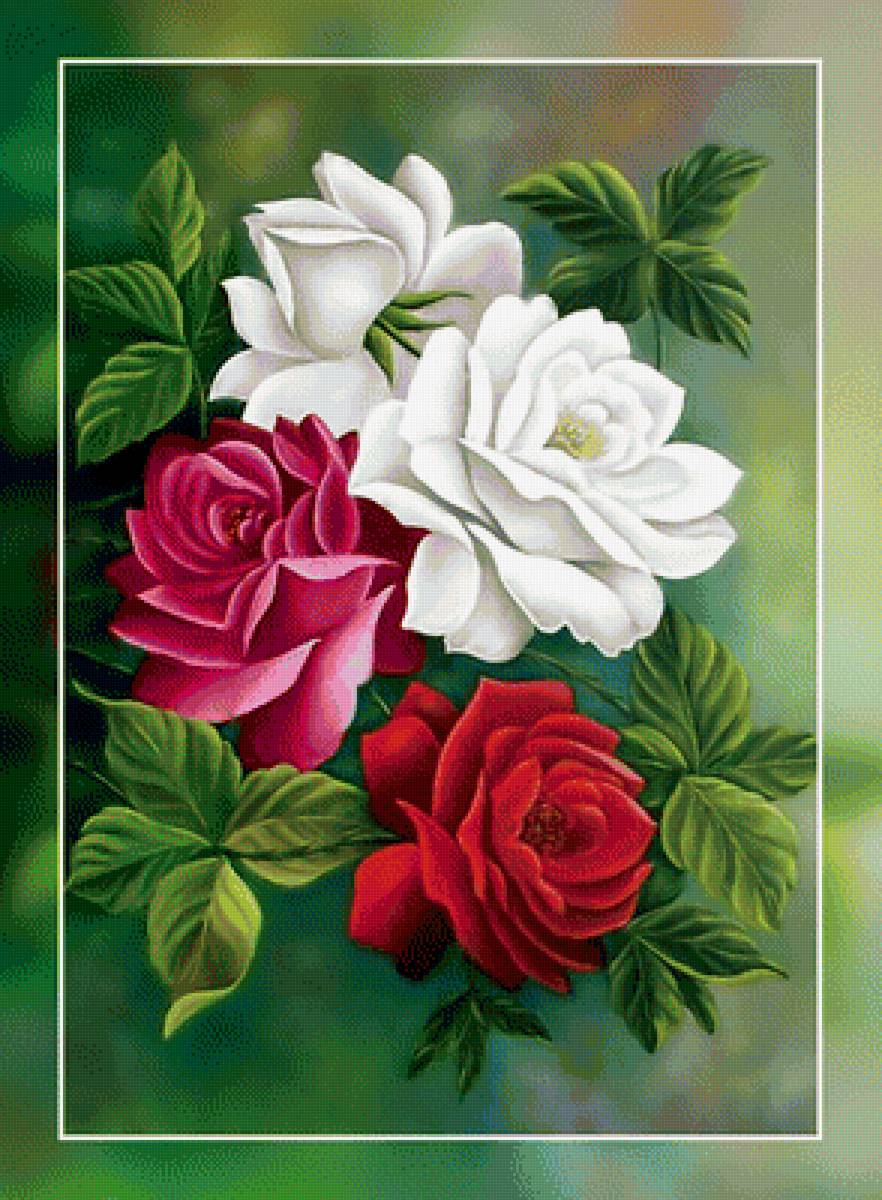 Розы. - картина, цветы, живопись., розы - предпросмотр