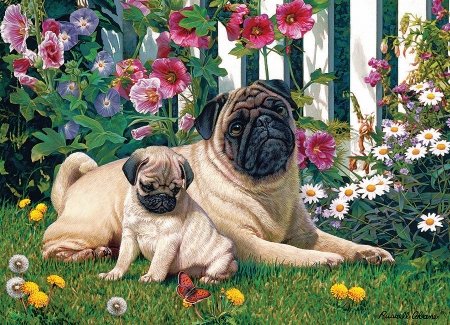 Pug Family. - animals.flowers and gardens. - оригинал