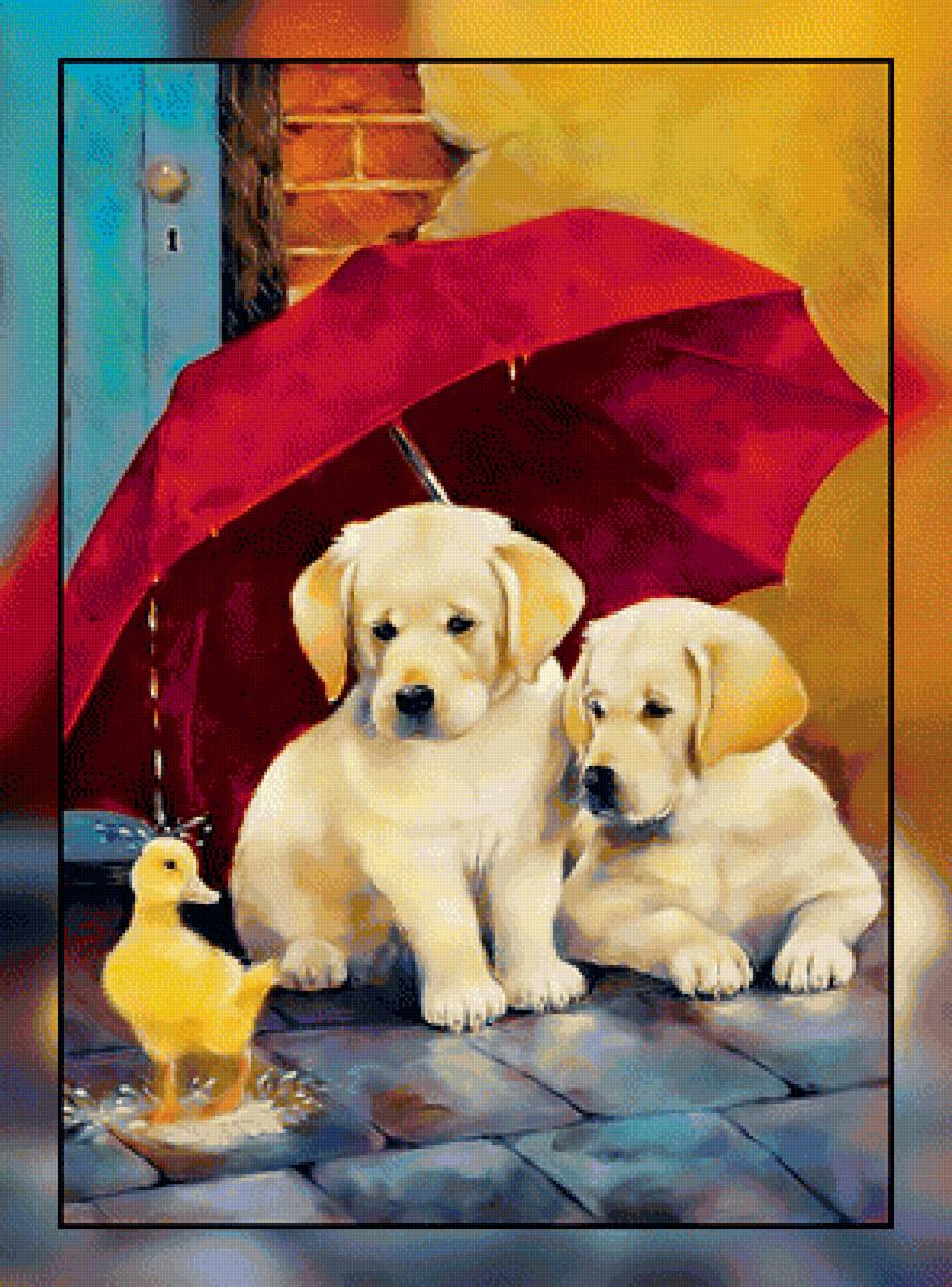 Утёнок и щенки. - утенок, зонт, дождь, щенки. - предпросмотр