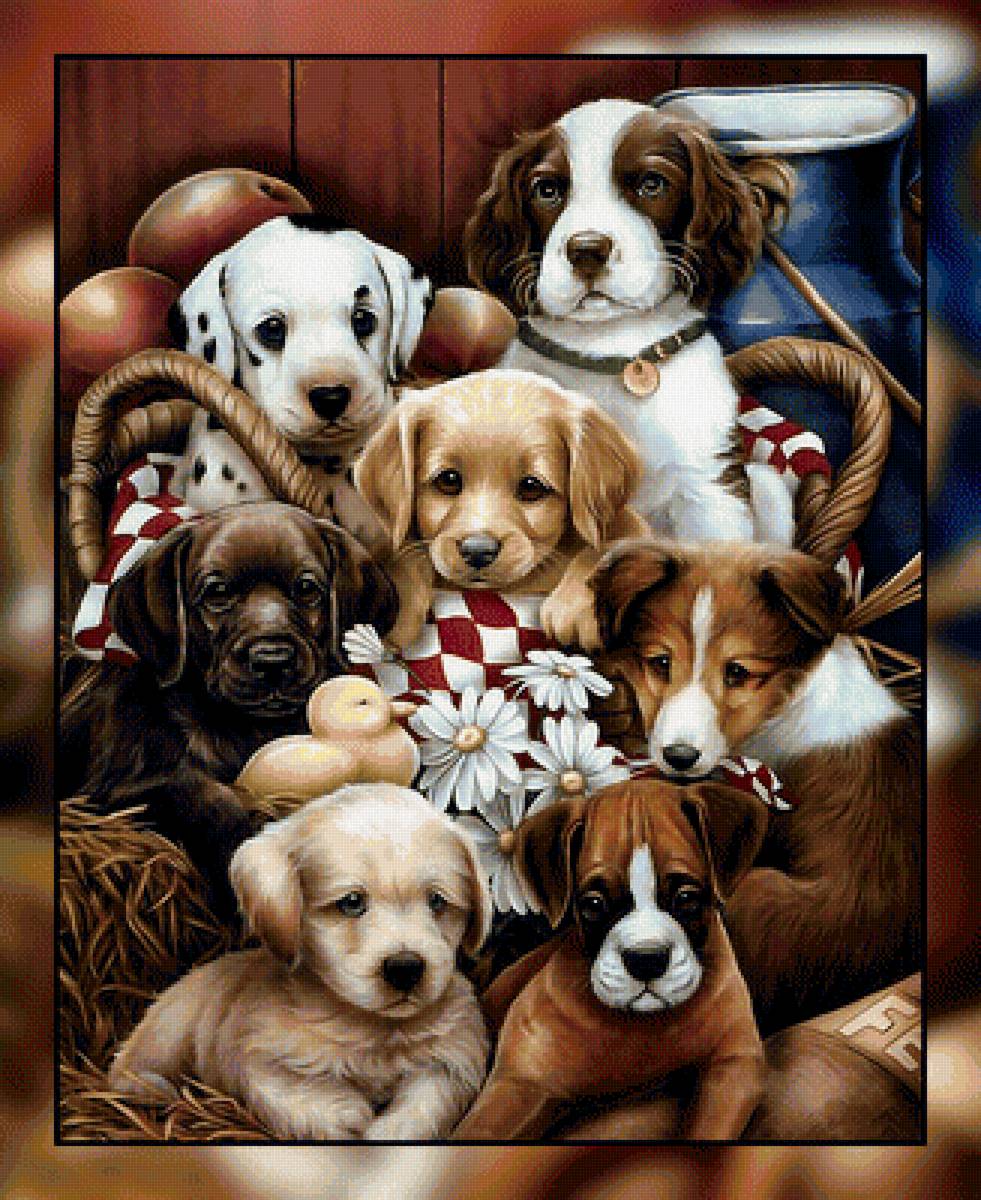 Малыши2. - щенки., собаки - предпросмотр