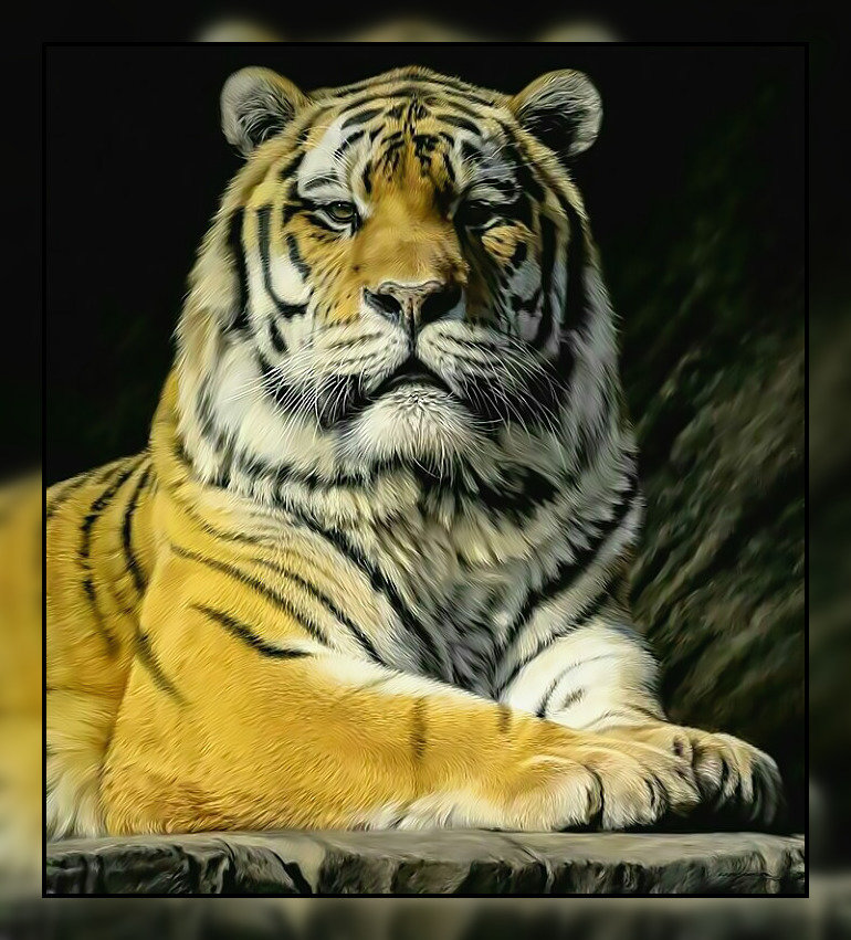 Его Величество. - взгляд., тигр, хищник - оригинал