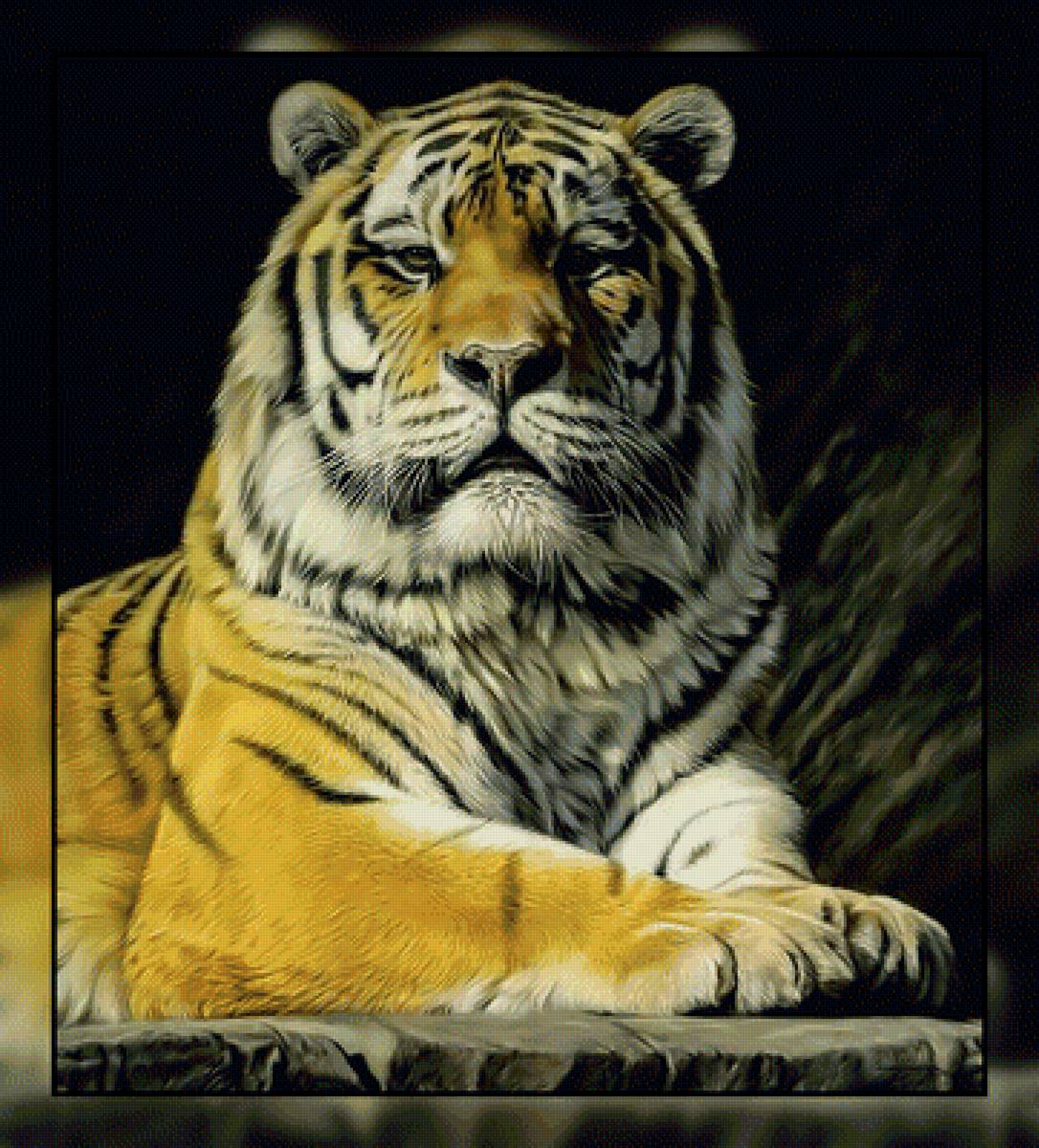 Его Величество. - тигр, хищник, взгляд. - предпросмотр