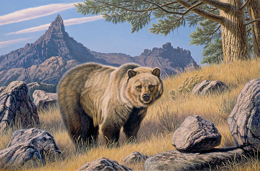 Grizzly Country. - paul krapf painter.animals. - оригинал